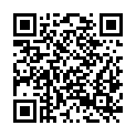 QR code zu Steinlughöhle I