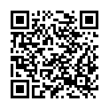 QR code zu Diebalöcher