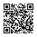 QR code zu  Lietzloch
