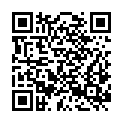 QR code zu Rebensteinerschacht