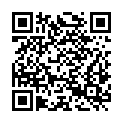QR code zu  Loferer Schacht