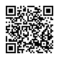 QR code zu  Schatzloch