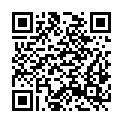 QR code zu Promenadenloch