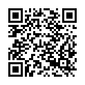 QR code zu Seehöli