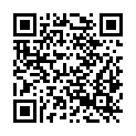 QR code zu Lauiloch