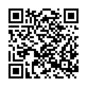 QR code zu Krenkenkogelschacht
