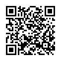 QR code zu  Prigglitzer Schacht