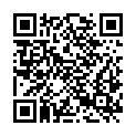 QR code zu Zerfressenes Loch