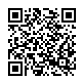 QR code zu  Getarntes Loch