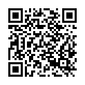 QR code zu Steintor