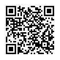 QR code zu  Fronbachschacht