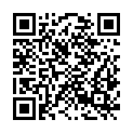 QR code zu  Taufbrunnenlucke