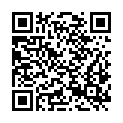 QR code zu  Saurüsselschacht