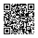 QR code zu  Touristenschlinger