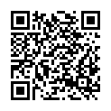 QR code zu  Feldwiesschacht