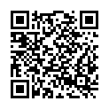 QR code zu  Schacht