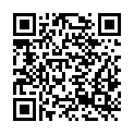 QR code zu  Leiterloch