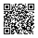 QR code zu Schmetterlingschacht