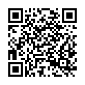 QR code zu  Vormäuerschacht