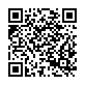 QR code zu Vormäuerschacht