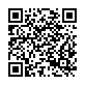 QR code zu Vormäuerschacht
