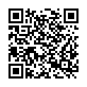 QR code zu Staiger-Fenster
