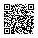 QR code zu Tunneleinsturzkrater