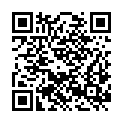 QR code zu  Unbekannter Schacht