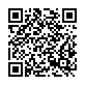 QR code zu  Furtowischacht
