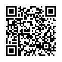 QR code zu Rußschacht