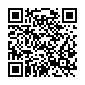 QR code zu  Brezarjevo brezno