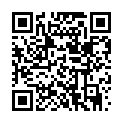 QR code zu Silberstollen