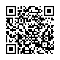 QR code zu  Lechnerwandschacht