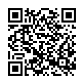 QR code zu  Zwieselmauerschacht