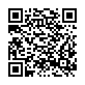 QR code zu  Hessingburg