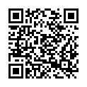 QR code zu  Tunnelfenster