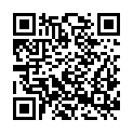 QR code zu  Aussichtspunkt Burg