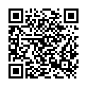QR code zu  Schloss Staufenberg
