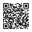 QR code zu Vierbahnenblick