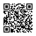 QR code zu  Aussichtsbrücke