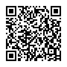 QR code zu  Aussichtspunkt Feldsee - Raimartihof