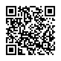 QR code zu Aussichtspunkt 87206