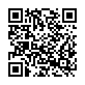 QR code zu Aussichtspunkt 87728