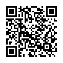 QR code zu Aussichtspunkt 87738