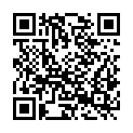QR code zu  Aussichtspunkt 87919