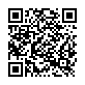 QR code zu  Fotoblick Falkenstein