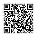 QR code zu Aussichtspunkt 91300