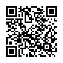QR code zu  Aussichtspunkt 91321