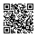QR code zu  Aussichtspunkt 91501