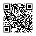 QR code zu  Aussichtspunkt 93151